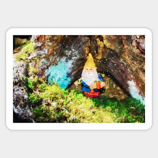 Woodland Gnome 6 Sticker